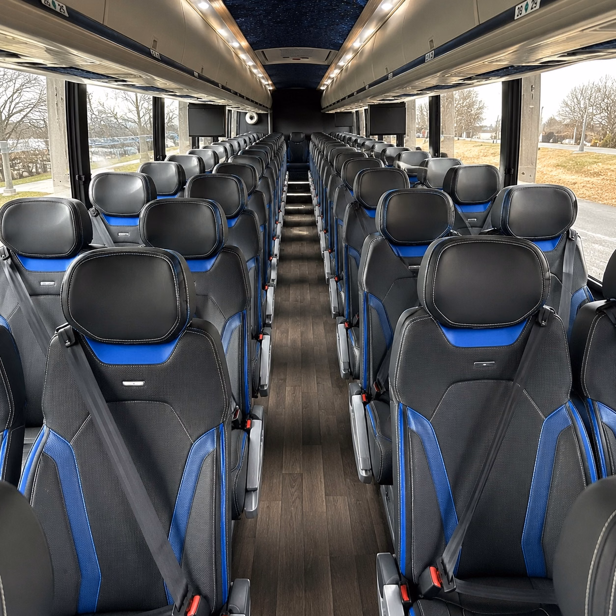 compare group transportation in meridian in one search