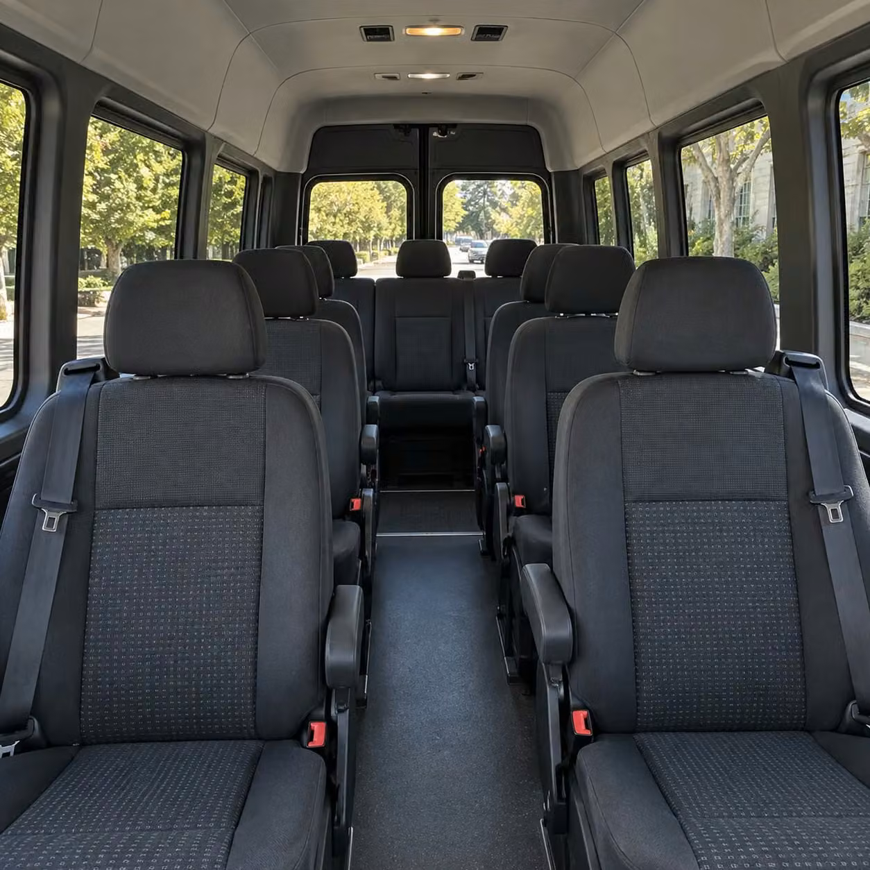 sprinter van with driver inside